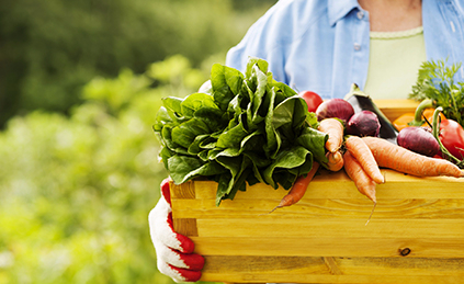 Farmer holding a basket of veggies